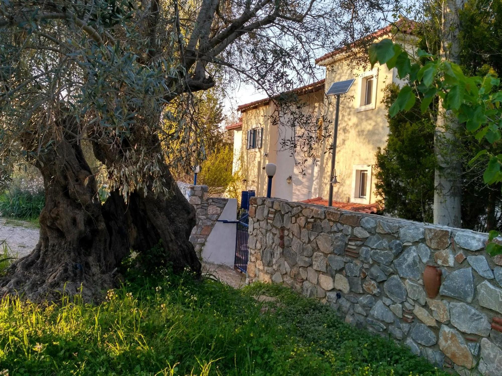9 Musses Hotel Apartments Skala Mistegnon Exteriér fotografie